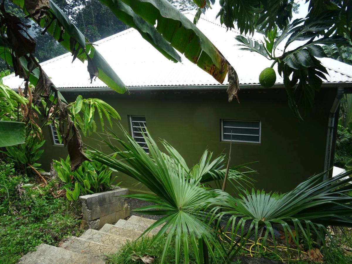 Bungalow Dourou Deshaies Exteriör bild