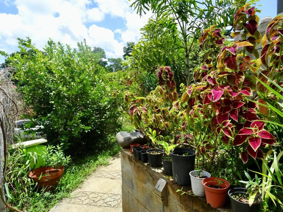 Bungalow Dourou Deshaies Exteriör bild